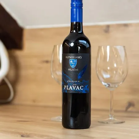 Center Catalina -1st Row To The Sea *