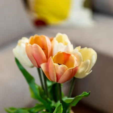 Center Catalina -1st Row To The Sea Opatija