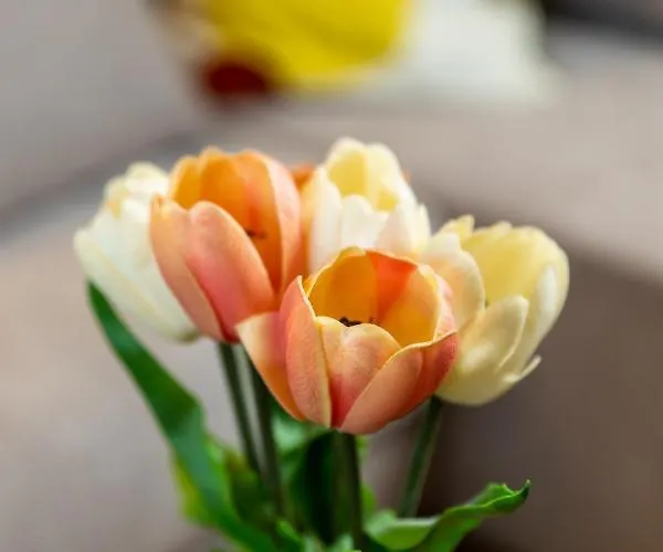 Center Catalina -1st Row To The Sea Opatija